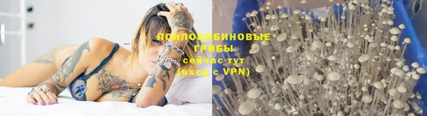 герыч Алзамай