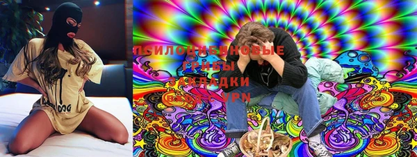 Альфа ПВП Алексин