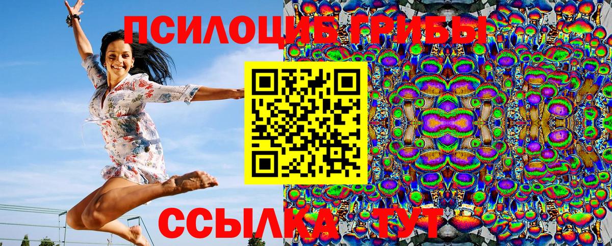 Псилоцибиновые грибы мицелий Анжеро-Судженск