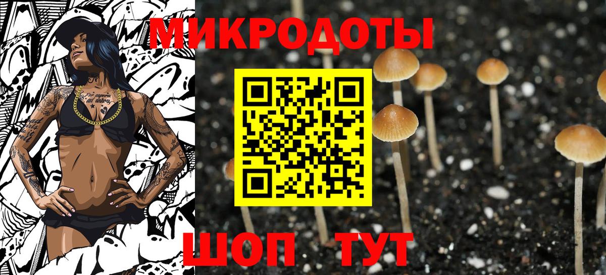 Анжеро-Судженск  Псилоцибиновые грибы мухоморы  Псилоцибиновые грибы Cubensis  Вход с VPN 